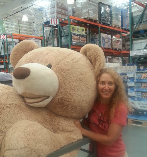 costcobear